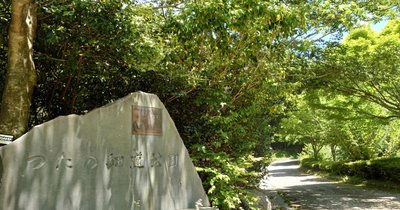 🏞️ 담쟁이덩굴 오솔길 공원(츠타노호소미치 코엔) 이미지 2